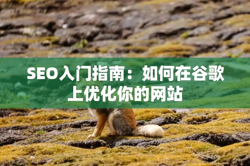 SEO入门指南：如何在谷歌上优化你的网站