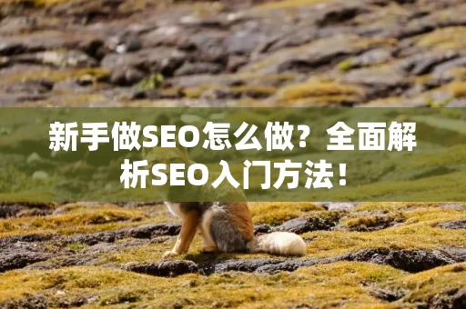 新手做SEO怎么做？全面解析SEO入门方法！