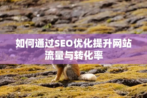 如何通过SEO优化提升网站流量与转化率