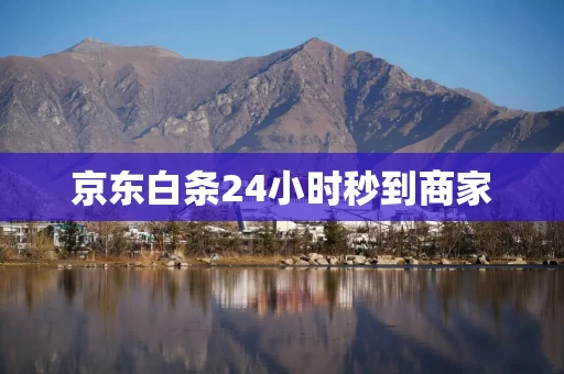 京东白条24小时秒到商家