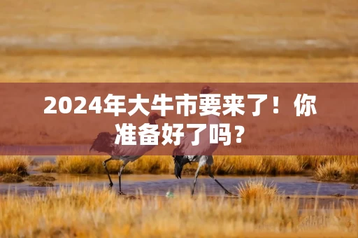 2024年大牛市要来了！你准备好了吗？