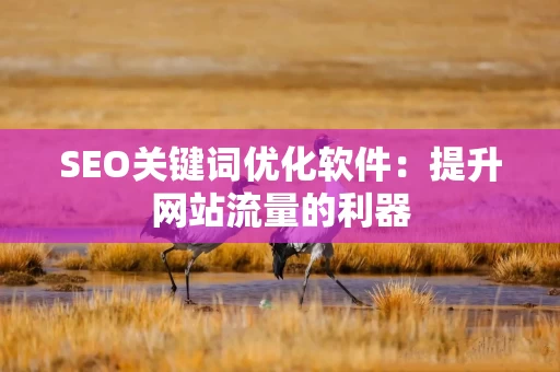 SEO关键词优化软件：提升网站流量的利器