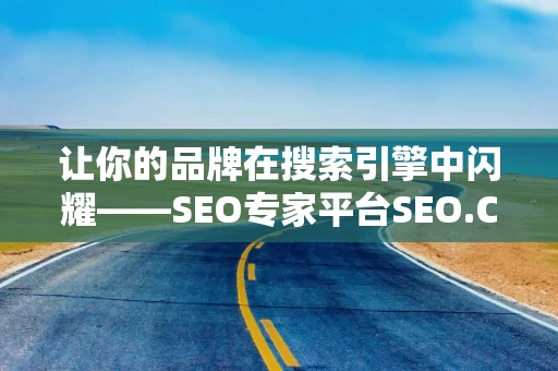 让你的品牌在搜索引擎中闪耀——SEO专家平台SEO.Chianz助力企业成功