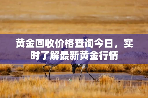 黄金回收价格查询今日，实时了解最新黄金行情