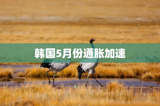 韩国5月份通胀加速