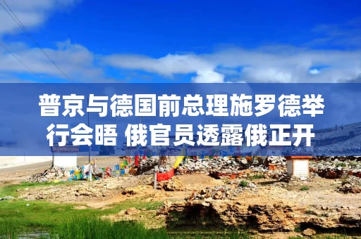 普京与德国前总理施罗德举行会晤 俄官员透露俄正开展多项非正式接触