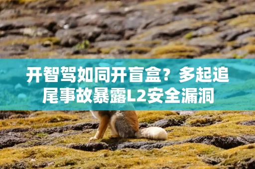 开智驾如同开盲盒?多起追尾事故暴露L2安全漏洞
