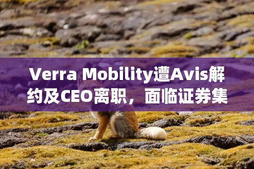 Verra Mobility遭Avis解约及CEO离职，面临证券集体诉讼