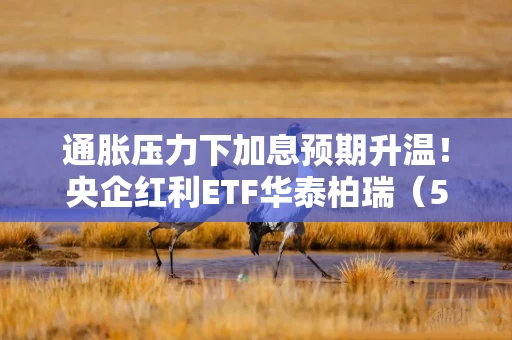 通胀压力下加息预期升温！央企红利ETF华泰柏瑞（561580）震荡市表现韧性突出