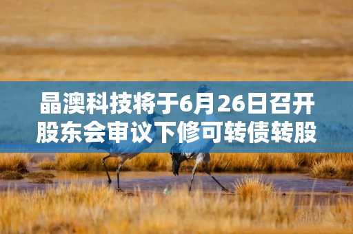 晶澳科技将于6月26日召开股东会审议下修可转债转股价格的议案