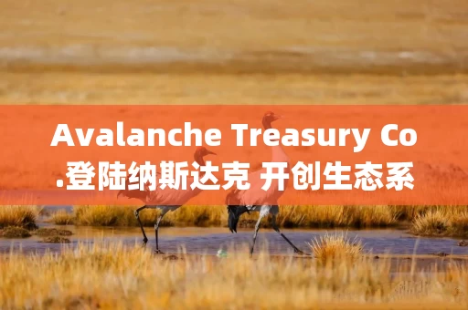 Avalanche Treasury Co.登陆纳斯达克 开创生态系统投资新模式