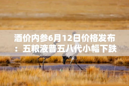 酒价内参6月12日价格发布：五粮液普五八代小幅下跌1元，失守800元整数大关