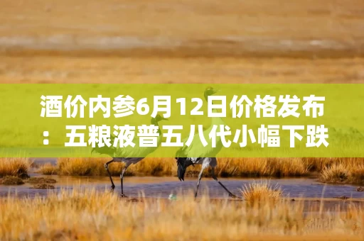 酒价内参6月12日价格发布：五粮液普五八代小幅下跌1元，失守800元整数大关