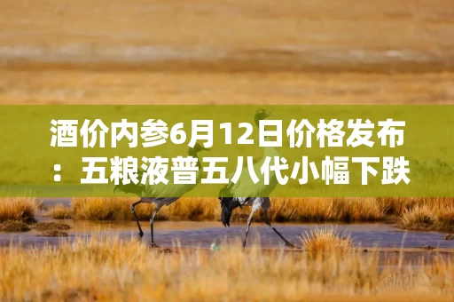 酒价内参6月12日价格发布：五粮液普五八代小幅下跌1元，失守800元整数大关