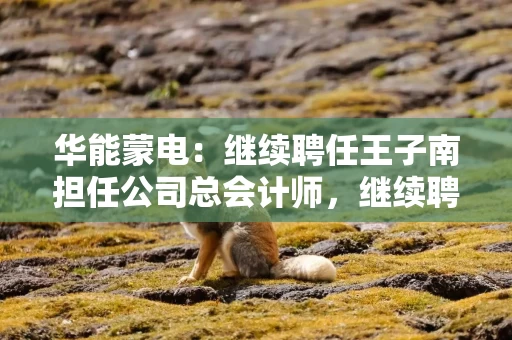华能蒙电：继续聘任王子南担任公司总会计师，继续聘任阿力亚担任公司证券事务代表