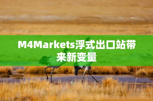 M4Markets浮式出口站带来新变量
