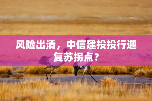 风险出清,中信建投投行迎复苏拐点?
