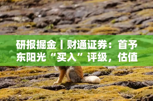 研报掘金丨财通证券：首予东阳光“买入”评级，估值体系有望迎来重塑