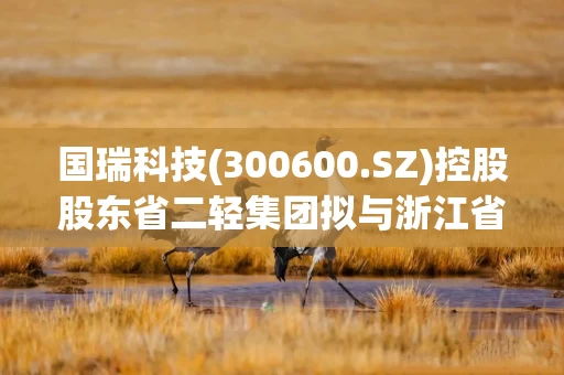 国瑞科技(300600.SZ)控股股东省二轻集团拟与浙江省机电集团进行战略性重组