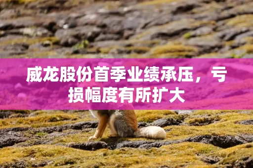 威龙股份首季业绩承压，亏损幅度有所扩大