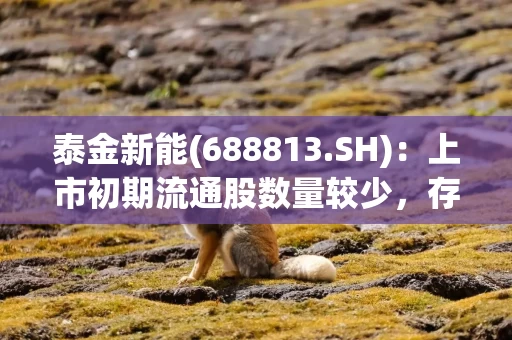 泰金新能(688813.SH)：上市初期流通股数量较少，存在流动性不足的风险