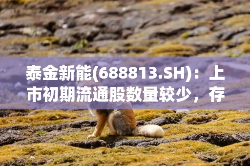 泰金新能(688813.SH)：上市初期流通股数量较少，存在流动性不足的风险