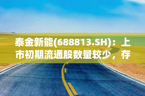 泰金新能(688813.SH)：上市初期流通股数量较少，存在流动性不足的风险