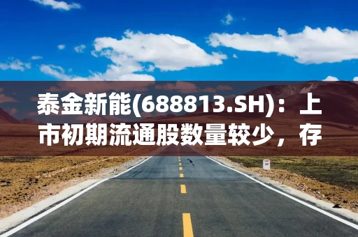泰金新能(688813.SH)：上市初期流通股数量较少，存在流动性不足的风险