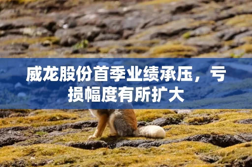 威龙股份首季业绩承压，亏损幅度有所扩大