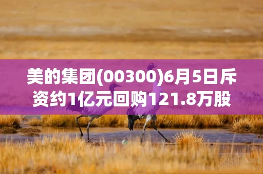 美的集团(00300)6月5日斥资约1亿元回购121.8万股A股