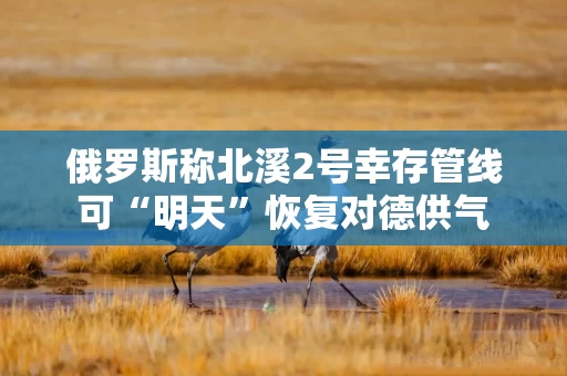 俄罗斯称北溪2号幸存管线可“明天”恢复对德供气