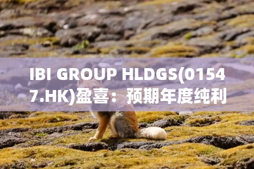 IBI GROUP HLDGS(01547.HK)盈喜：预期年度纯利约1350万港元