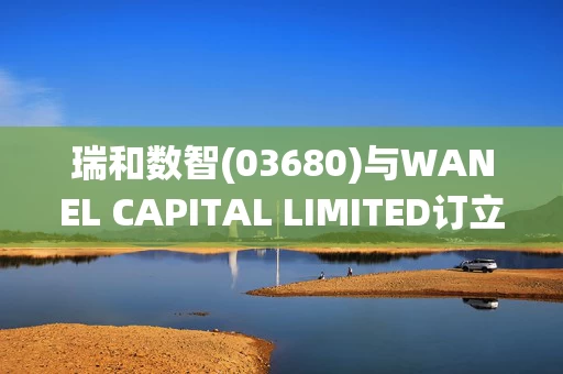 瑞和数智(03680)与WANEL CAPITAL LIMITED订立战略合作协议 以开展研究、交流及数字生态系统建设