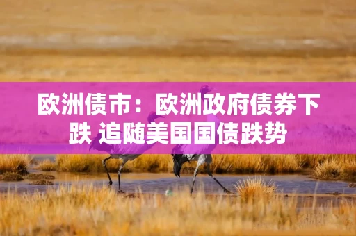 欧洲债市：欧洲政府债券下跌 追随美国国债跌势
