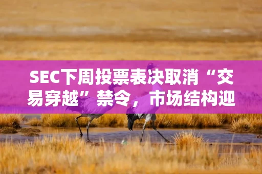 SEC下周投票表决取消“交易穿越”禁令，市场结构迎重大变革