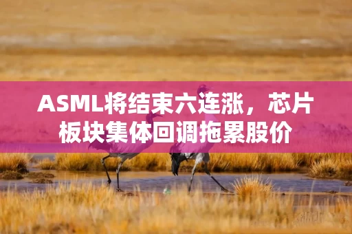 ASML将结束六连涨，芯片板块集体回调拖累股价