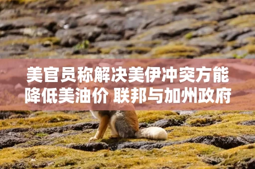 美官员称解决美伊冲突方能降低美油价 联邦与加州政府矛盾加剧
