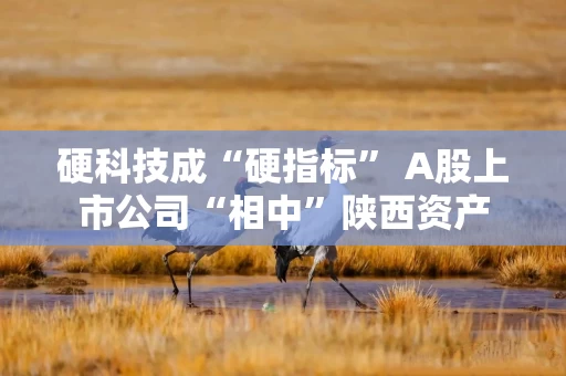 硬科技成“硬指标” A股上市公司“相中”陕西资产