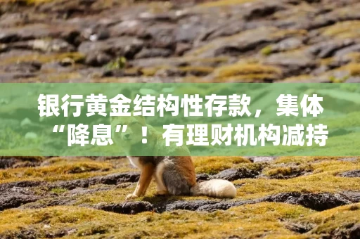 银行黄金结构性存款，集体“降息”！有理财机构减持黄金ETF