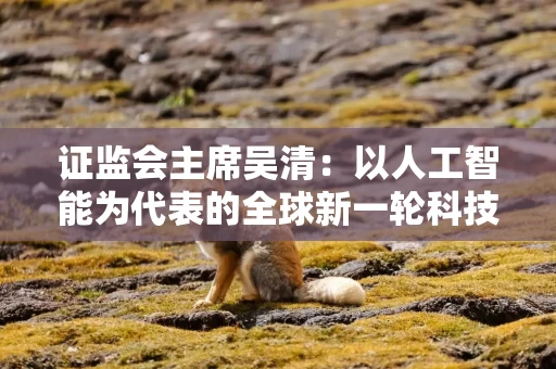 证监会主席吴清：以人工智能为代表的全球新一轮科技革命和产业变革加快突破 亟需构建更加适配的金融服务体系
