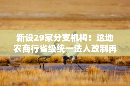 新设29家分支机构！这地农商行省级统一法人改制再推进