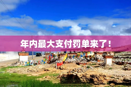 年内最大支付罚单来了！