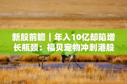 新股前瞻｜年入10亿却陷增长瓶颈：福贝宠物冲刺港股的喜与忧