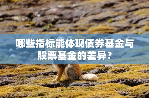 哪些指标能体现债券基金与股票基金的差异?