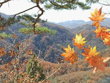 康方生物首个全球多中心Ⅲ期临床研究结果公布