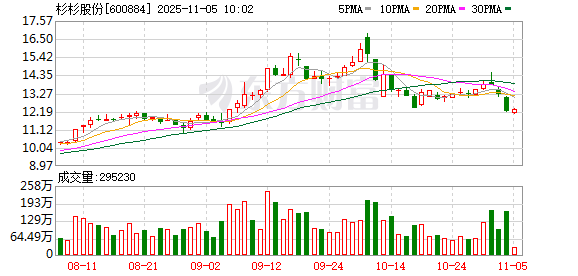 杉杉集团重整计划被否
