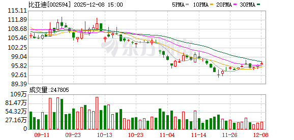 王传福：比亚迪是龙头老大 可以被别人欺负一下 但不能欺负别人