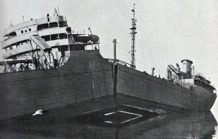 特斯拉全塑料车身 进博会两年前就猜到了?今又预言雷军“砸不碎的瓜”