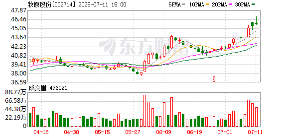 “猪茅”牧原股份预计上半年归母净利润同比增长逾10倍 6月成本接近全年成本目标
