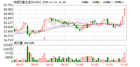 华润万象生活王磊:商业地产未来一定是运营为王